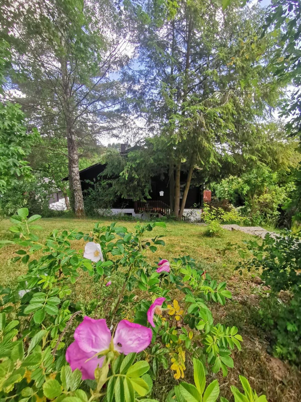 Appartamento Himmelberg11 Thalfang Camera foto